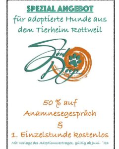 Angebot TH Rottweil