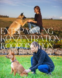 Seminare & Workshops 3 WhatsApp Image 2025 10 24 at 00.16.06