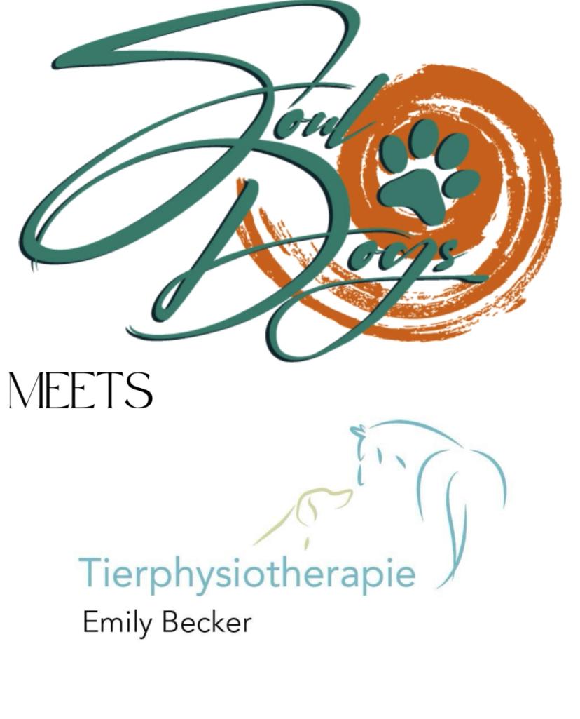 🌿 Workshop: Entspannung – Konzentration – Koordination 🐶✨ 1 WhatsApp Image 2025 10 24 at 00.16.11