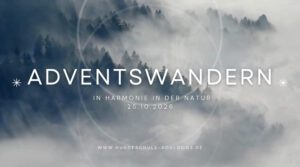 Neueste Fotos anzeigen